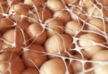 Psychodynamika obezity: Jsem to, co jím, a možná i něco míň