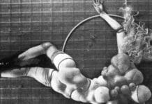 Skúmanie zložitého sveta Perverzie