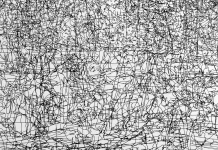 Vývoj předeterminovanosti ve Freudových teoriích