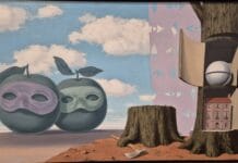 Neurovědy a psychoanalýza – propojování dvou světů